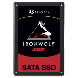 Ổ cứng SSD Seagate IronWolf 110 240Gb ZA240NM10011