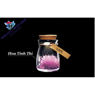 Hoa tinh thể may mắn