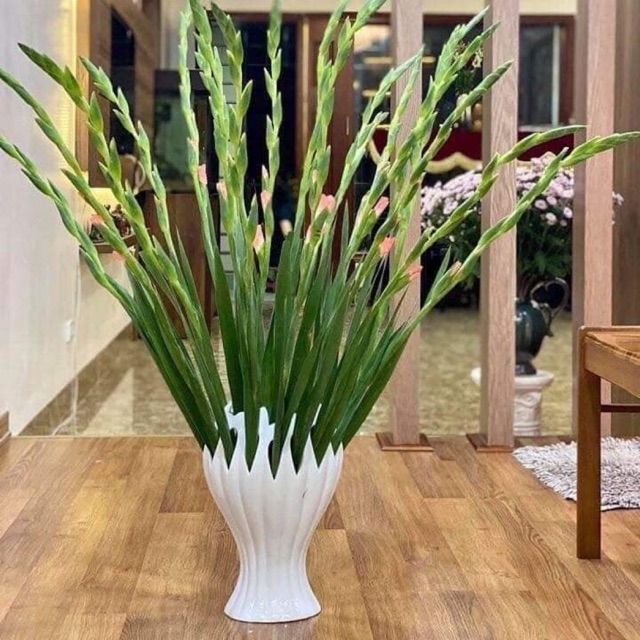 LỌ BÀN TAY PHẬT.HÀNG CHUẨN LOẠI 1 CAO 35CM, 28CM