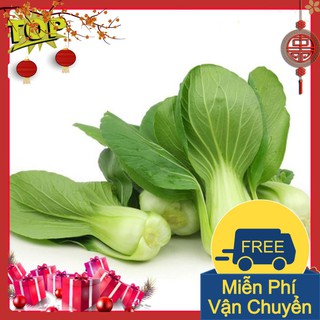 Combo 2 gói hạt giống cải chíp