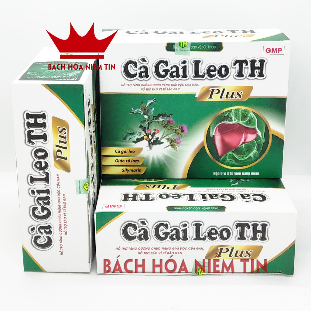 Viên uống giải độc gan CÀ GAI LEO TH - Thành phần 100% thảo dược giúp thải độc gan, thanh nhiệt, hạ men gan