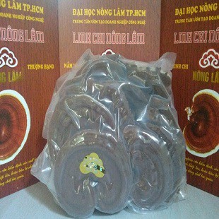 Linh Chi Nông Lâm Thượng Hạng