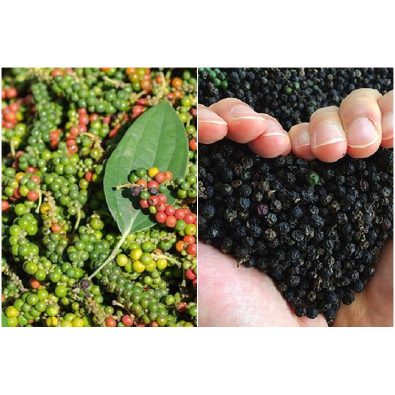 [Tiêu Bình Phước Nhà Trồng] Tiêu Đen Nguyên Chất (100g)