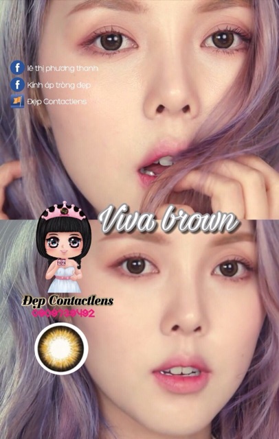 Lens Vassen Hàn Quốc_Viva Brown