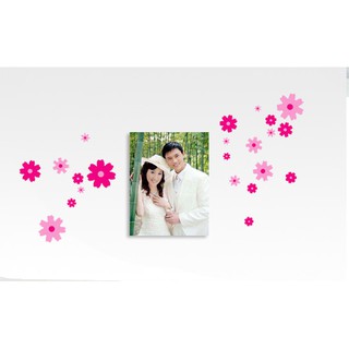 Decal dán tường - Giấy dán tường hình hoa cúc