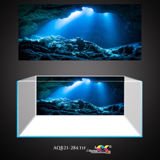 [SIÊU HÓT] Tranh 3D dán hồ cá - bể cá mẫu hang động siêu đẹp và nét, có keo sẵn trên bề mặt, đa dạng KT (AQB21-284)