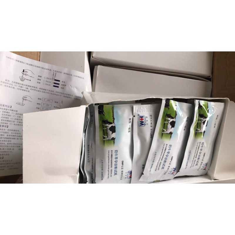 Que thử thai trâu, bò