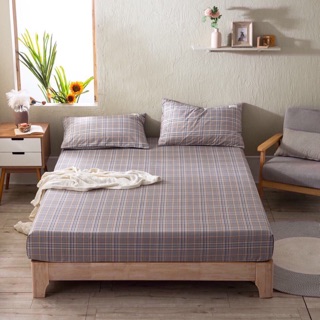 Ga gối TICI COTTON ( 1 ga , 2 vỏ gối )
