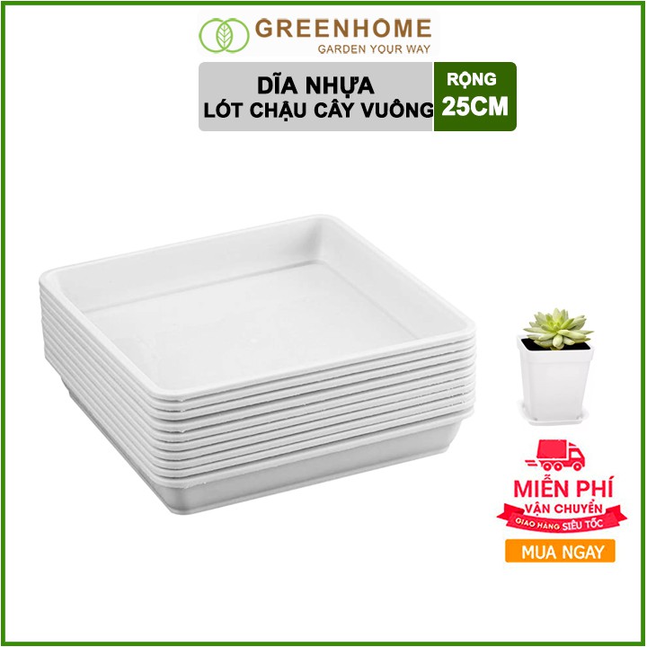 [Freeship 70K] Dĩa lót chậu R25cm trồng cây, hoa kiểng hình Vuông