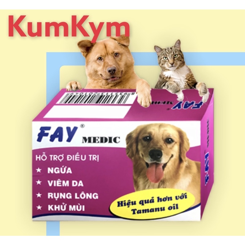 Xà bông Fay Medic 100g