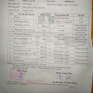 BỘT CA CAO NGUYÊN CHẤT VIỆT NAM