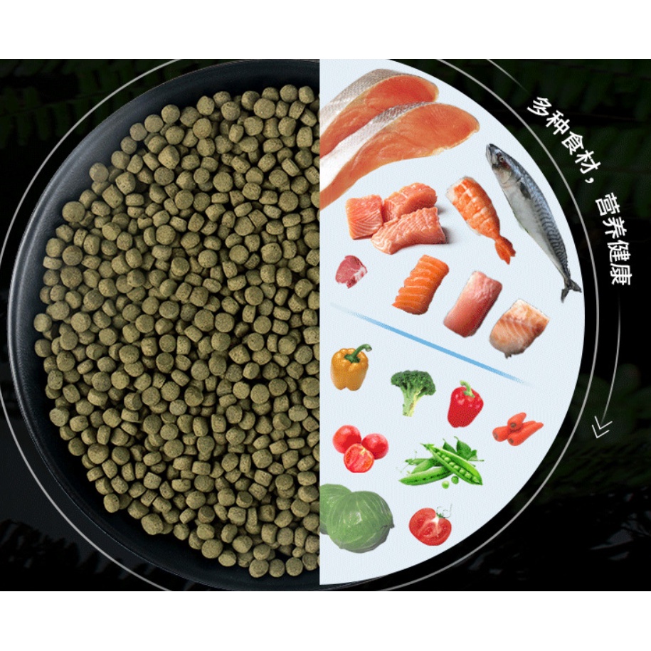 BESSN -Thức ăn cho cá Chép Sư tử, chép bướm.