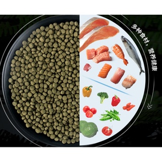 BESSN -Thức ăn cho cá Chép Sư tử, chép bướm.