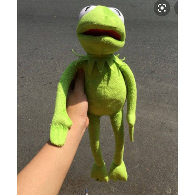 Gấu bông ếch meme/kermit
