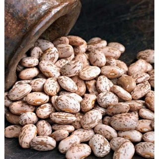 500g Đậu Cúc Canada