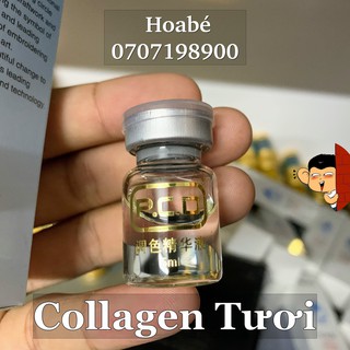 collagen tươi PCD giúp bóng môi