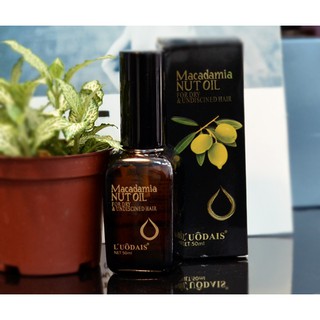 Tinh Dầu Dưỡng Tóc Macadamia Nut Oil 50ml