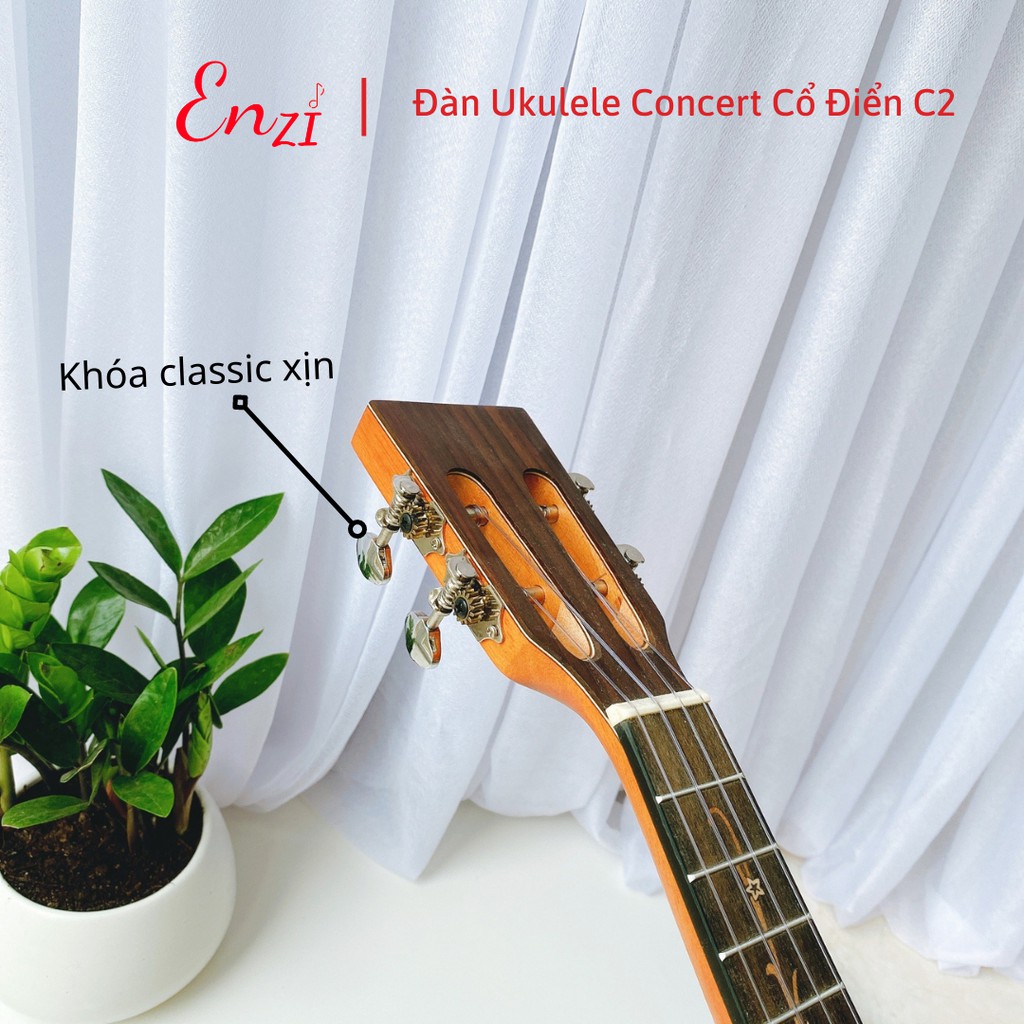 Đàn ukulele concert size 23 inch chất liệu gỗ giá rẻ chất lượng ENZI