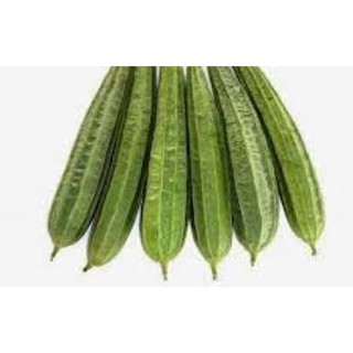 Hạt giống Mướp khía