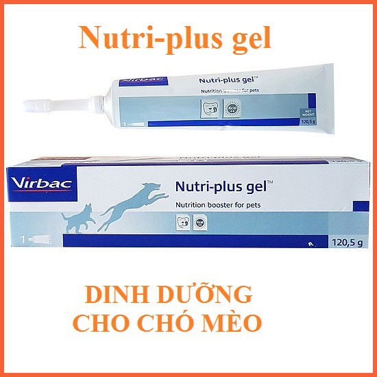 Dinh dưỡng chó mèo nhập khẩu - Nutri Plus Gel