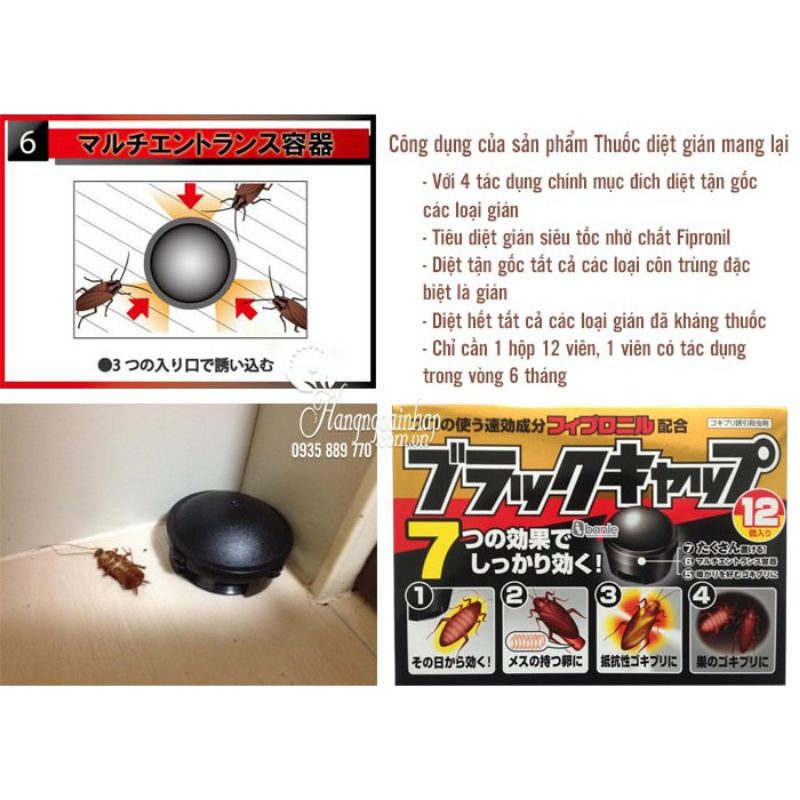 Bả diệt gián Nhật bản Hộp 12 viên[ hàng chuẩn Nhật]