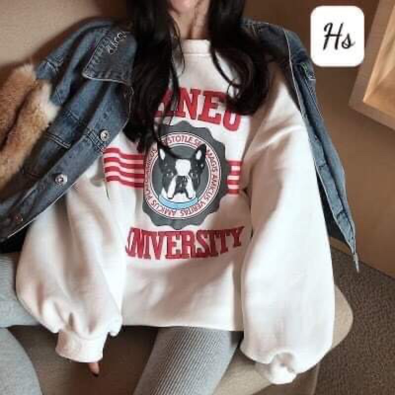 Áo nỉ bo chó ORN HSU1