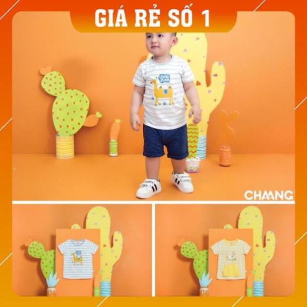 [Mã SR14MAY5 giảm 20K đơn 50K] Hàng chính hãng Áo phông kẻ ngang chaang/ size 6-36m