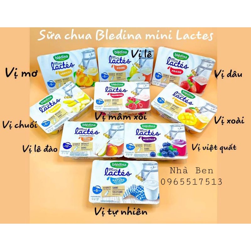 Sữa chua Bledina Pháp cho bé từ 6m+ 6 hộp x 55g