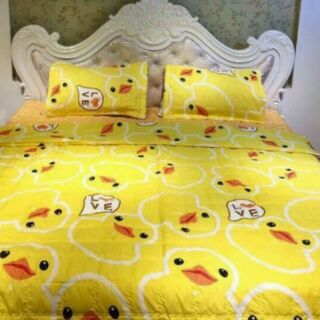 Bộ drap gói cotton Hàn Quốc 1m6 x 2m