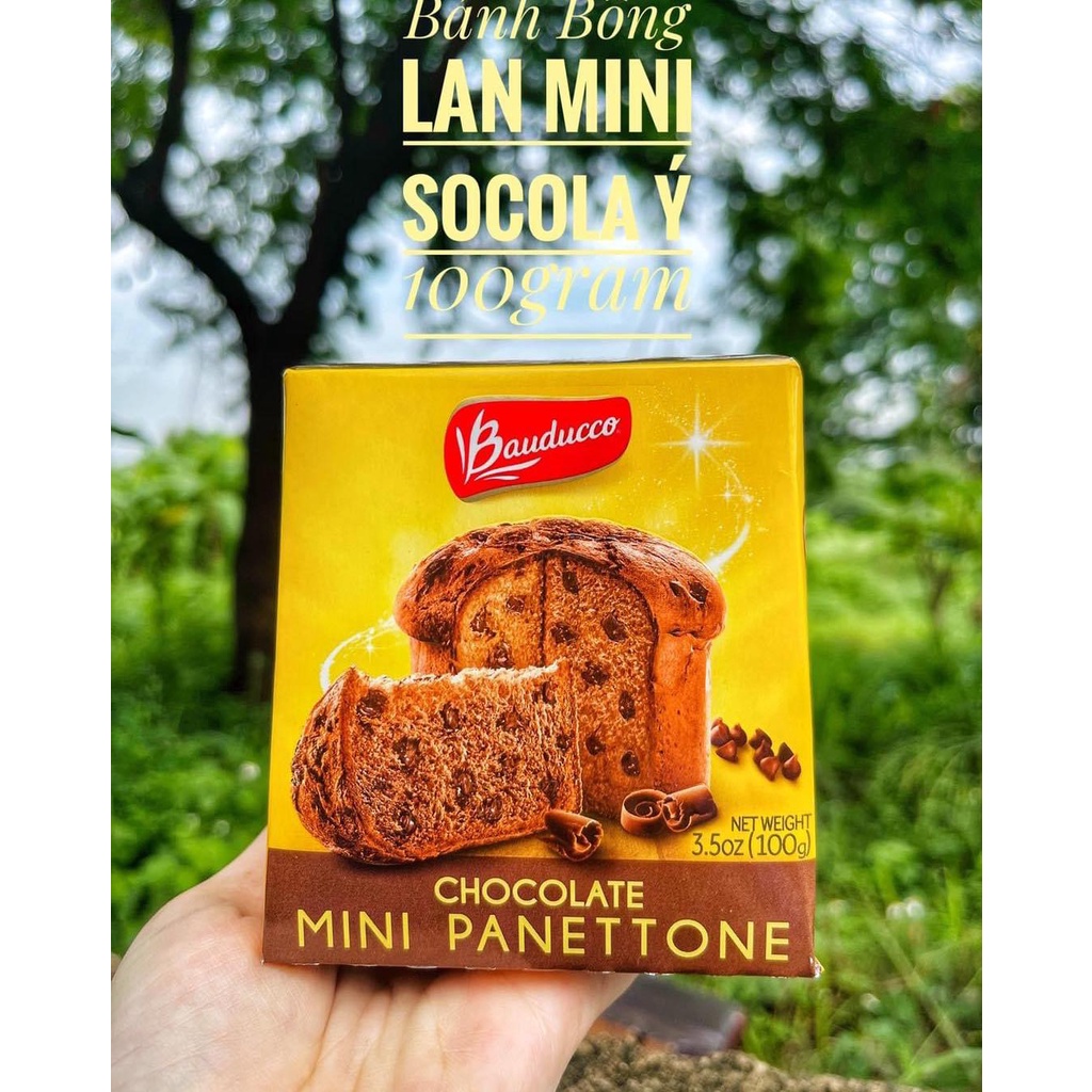 Bánh Bông Lan Mini Panettone 100gram Bánh Truyền Thông Của Ý