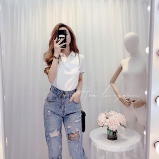 Áo phông có cổ 2 màu dành cho nữ