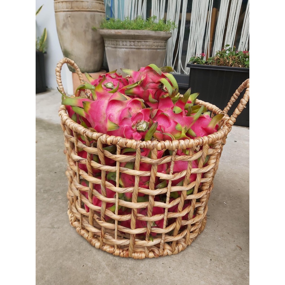 Sọt tròn đựng đồ dùng gia đình, đồ chơi cho bé, sọt trồg cây, trang trí , decor phòng 45/42xh37cm