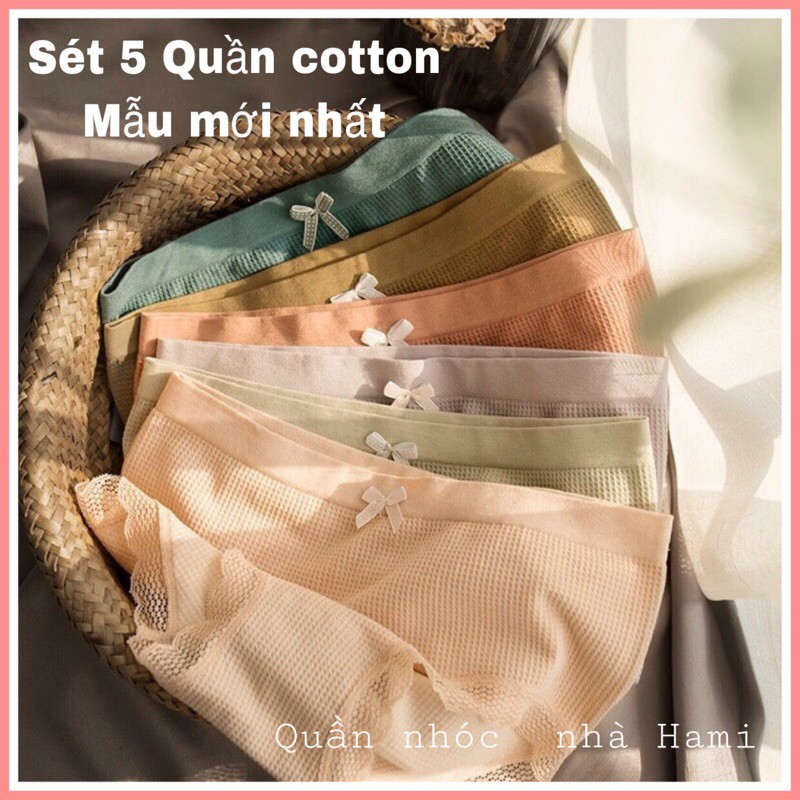 💥 SALE LỖ💥Quần lót cotton 100% kháng khuẩn ,thông thoáng,bảng màu siêu đẹp 💥💥💥