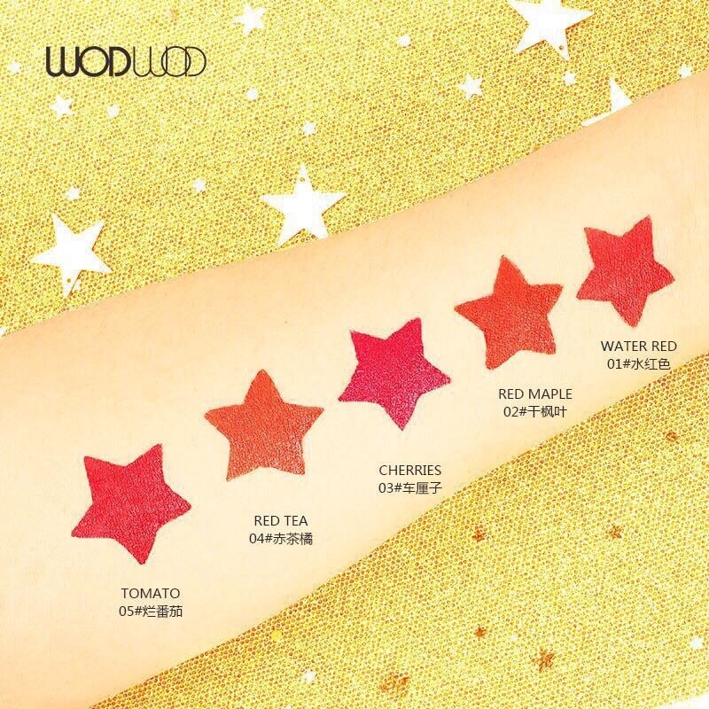 Son môi vỏ ánh nhũ Wodwod Star Hollow Lipstick Hàn Quốc