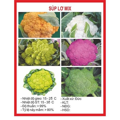 hạt giống súp lơ mix gói 100 hạt