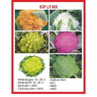 Hạt giống súp lơ mix gói 100 hạt