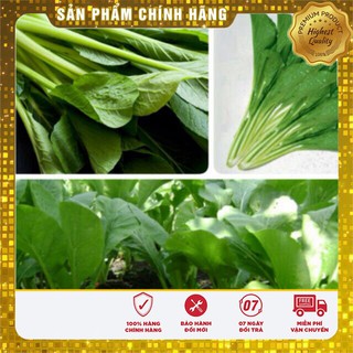 Hạt giống Rau Cải Ngọt cọng xanh dễ trồng ăn ngon
