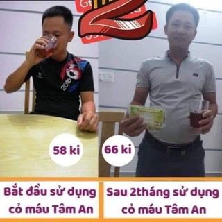 cỏ máu tâm an qoảng binh