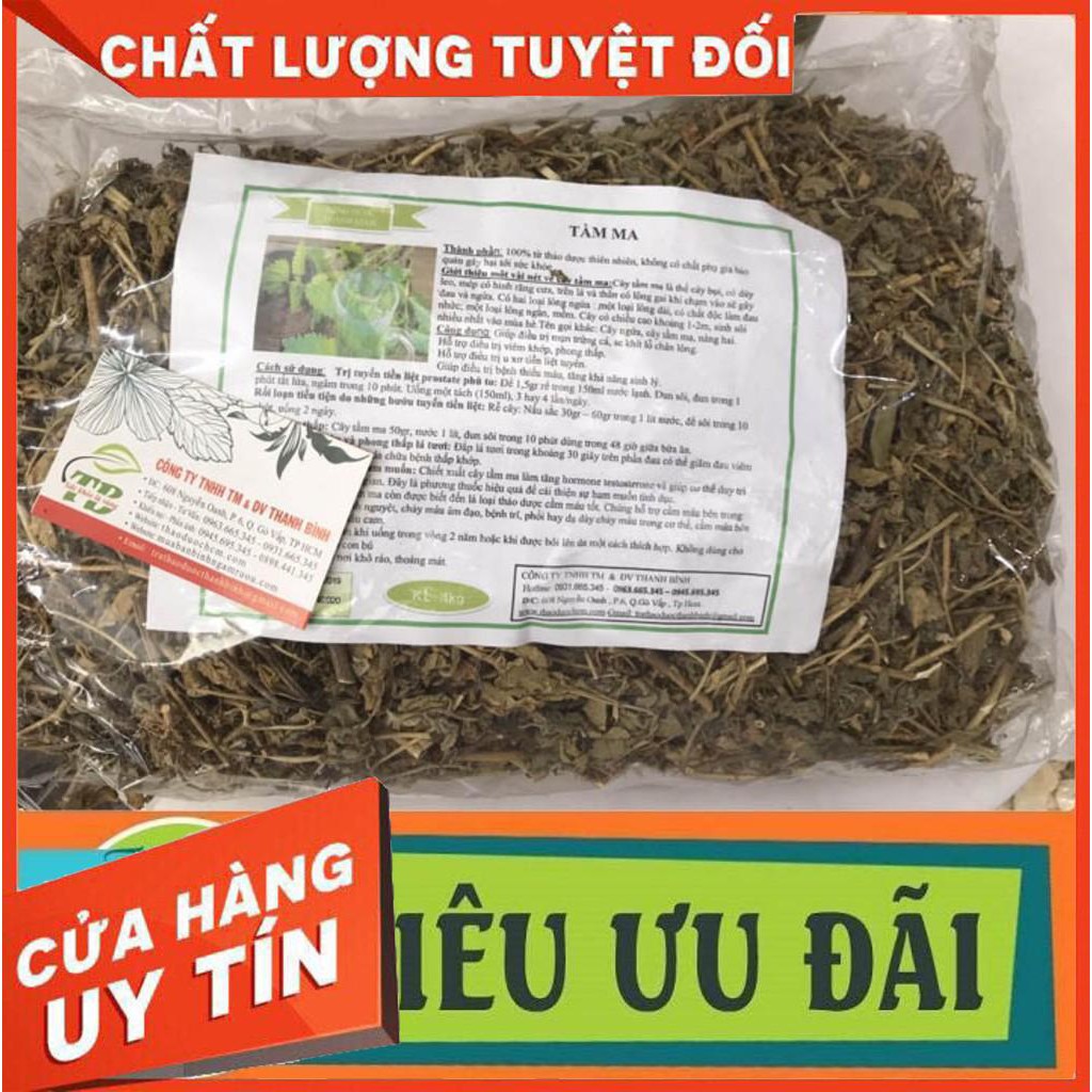 Cây Tầm Ma (Cây Ngứa) 100g - Lương Y Thanh Bình