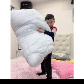 Ruột chăn bông tấm 2m x 2m2 ( có làm theo yêu cầu )