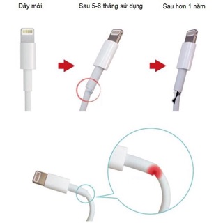 Nút Bảo Vệ Đầu Cáp Sạc Hình Thú