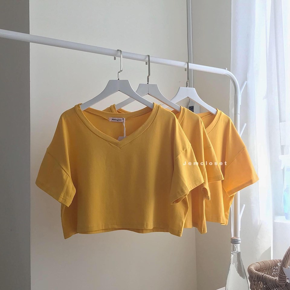 Áo croptop cổ tim tay ngắn form rộng thoải mái - 1230  ( Jem Closet ) | BigBuy360 - bigbuy360.vn