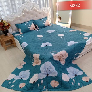 GA BỌC NỆM COTTON POLY NHIỀU MẪU BỘ 4 MÓN 1 GA 3 VỎ GỐI