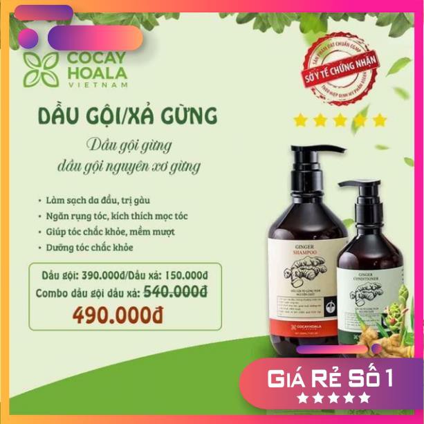 Combo Dầu gội và dầu xả gừng tươi nguyên chất 100% | BigBuy360 - bigbuy360.vn