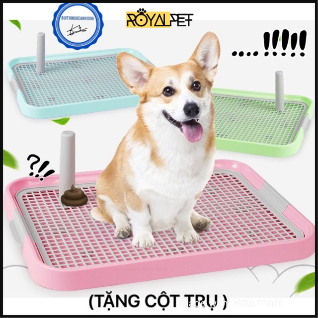 🐶🐶(SIZE TO-)KHAY VỆ SINH CHO CHÓ 🙈🙉