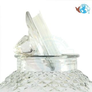 BÌNH NGÂM THỦY TINH 8833 25L