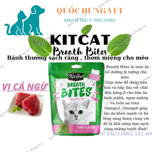 Bánh thưởng Kitcat Breath Bites cho mèo 60g-QUỐC HƯNG VET