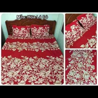 Bộ chăn ga gối poly trần bông phủ 3 vế
