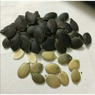 Hạt bí mèo đen rang 500g - 1kg