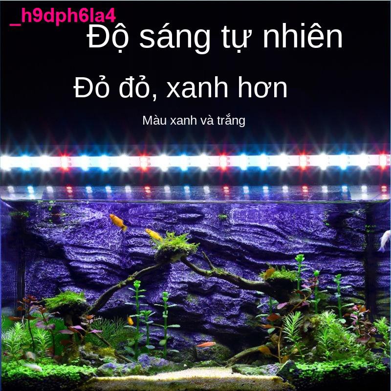 đèn phòngĐèn chiếu sáng hồ cá độ cao dẫn đôi hàng lặn ánh không thấm nước ba màu rồng